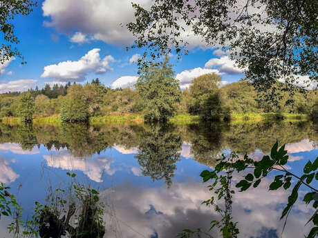 Parcours Pêche Carpe de nuit sur la Vienne à Royères