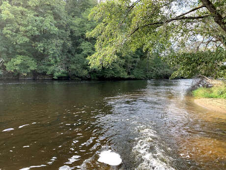 Parcours de pêche sur la Vienne du Moulin du Got