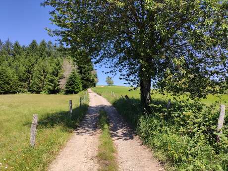 Boucle du Mont Larron