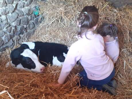 Tous à la ferme !