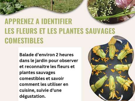 Un jardin à croquer