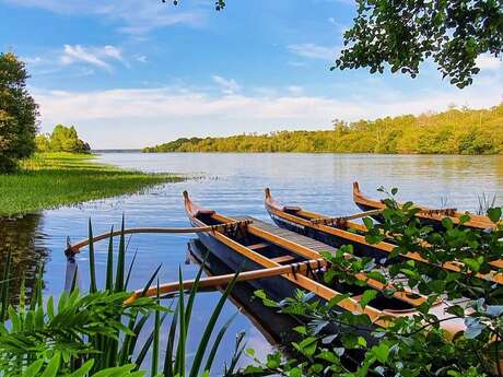 Balade nature en pirogue hawaïenne