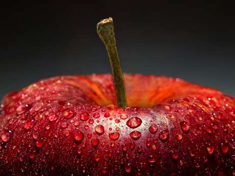 Greffage des arbres fruitiers