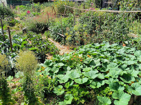 Causerie jardin : venez parler jardinage !