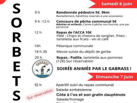 Sorbets en fêtes