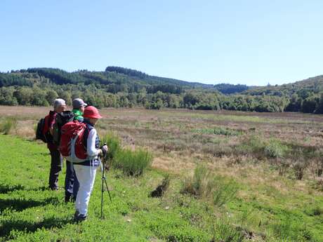 Circuit d’interprétation de la tourbière de Rebière Nègre - 4 km