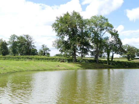 Plan d'eau des Fonds du Mont