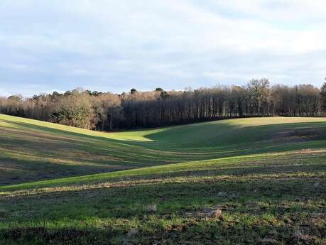 Balade de la biodiversité : Boucle de l'Herm n° 34 /Rouffignac