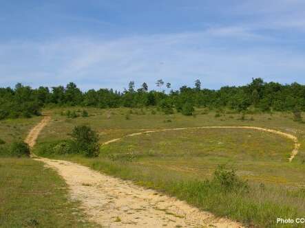 Le Causse de l'Isle