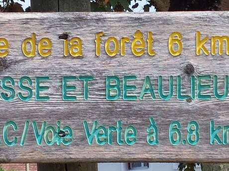 Boucle de la Forêt