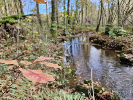 Pont des Farges et de Chanterane