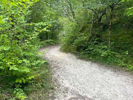 Boucle des Grands Bois