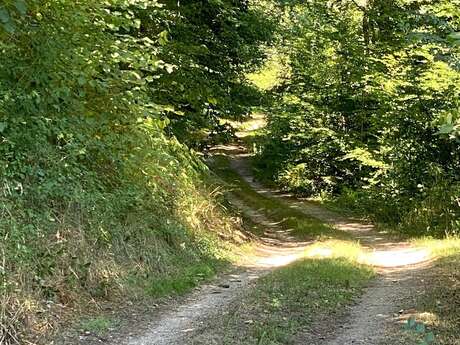 Boucle des Cheyroux