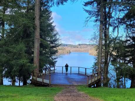 Matinée bien-être entre lumière et vibration - Août