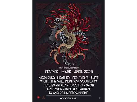 Concert de Fer/Vent et This Will Destroy Your Ears