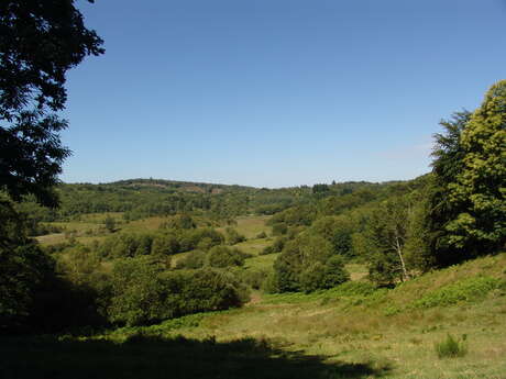 Découverte de la tourbière des Dauges