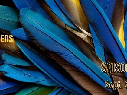 Concert : Elle tourne