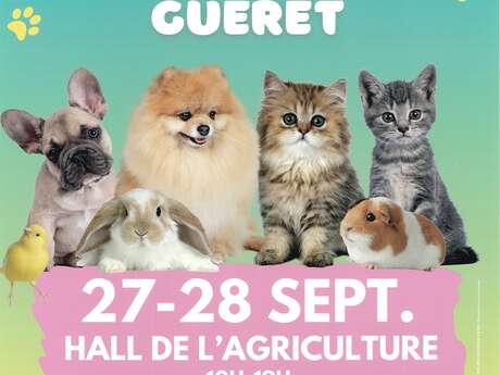 Salon des Animaux