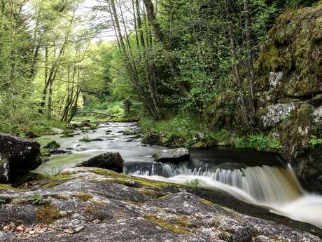 Le Saut du Loup