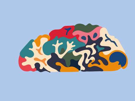 Conférence et table ronde - Semaine du Cerveau