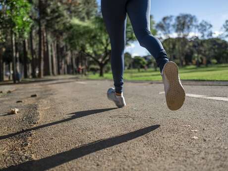 Sentez-vous sport