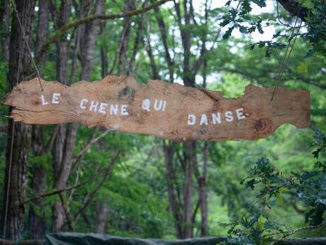 Les Nuits des forêts - À l'écoute des vivants