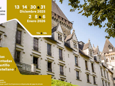 Visita del castillo en castellano
