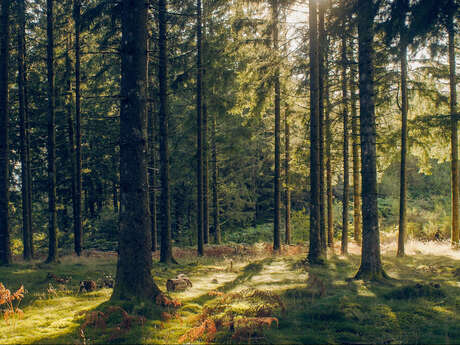 Les Roches de Scoeux