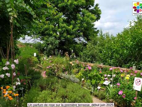 Journées du Patrimoine : Accueil et visite au jardin et à l'atelier