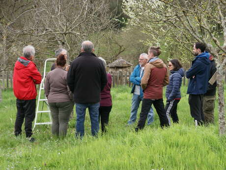 Démonstration taille et greffe au verger de l'Ecomusée du Montmorillonnais, site de Juillé avec l'association des Croqueurs de Pommes
