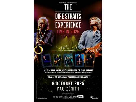 THE DIRE STRAITS EXPERIENCE
