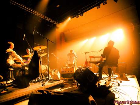 Concert - The Last Show