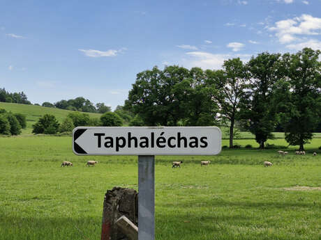 Théâtre "Taphaleschas"