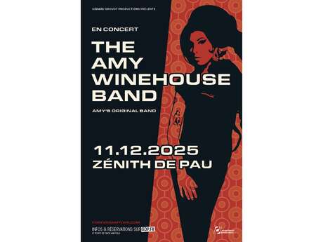 The Amy Winehouse Band