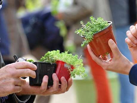 Troc de plants et graines Troc de plants et graines