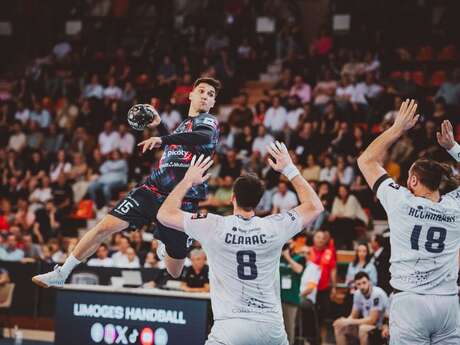 Match de handball Limoges / Sélestat