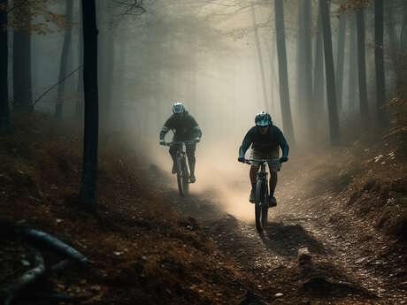 33ème Frédéric Mistral - VTT et marche label national UFOLEP