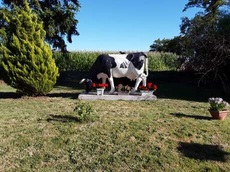 Les secrets d'été - visite de la ferme de vaches laitières de Gatebourg