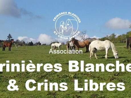 Association crinières blanches et crins libres en fête