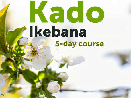 Kado-Ikebana - stage au centre Shambhala