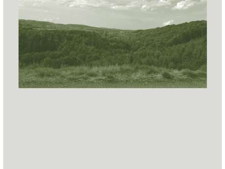 Exposition Peupler l'ordinaire