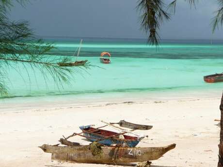 Conférence - Zanzibar, perle de l'océan indien