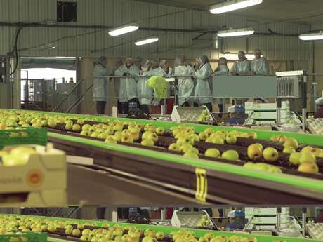 Route de la Pomme du Limousin : Visite coopérative 2025