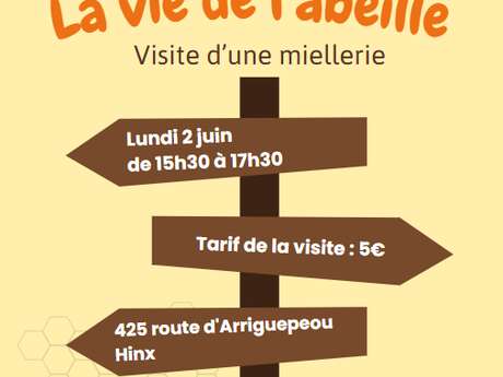 La vie de l'abeille - visite d'une miellerie