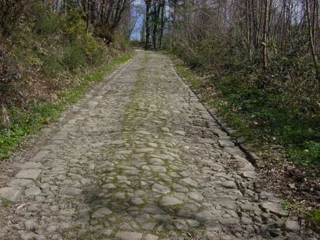 Le circuit de Cabaniers (boucle de Puyrocher)