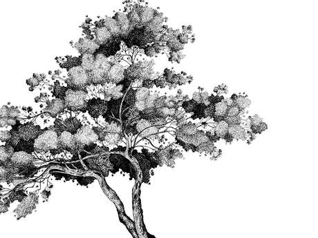 Exposition "les arbres"