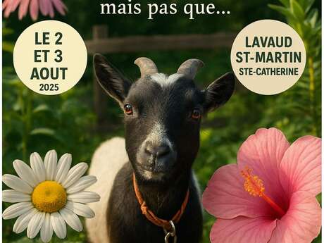 EXPOSITION AU JARDIN...mais pas que