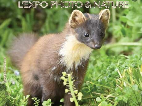 Signé Nature l'expo photo et nature