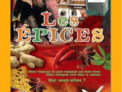 Les épices, un régal pour les papilles !