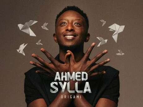 Ahmed Sylla - Origami